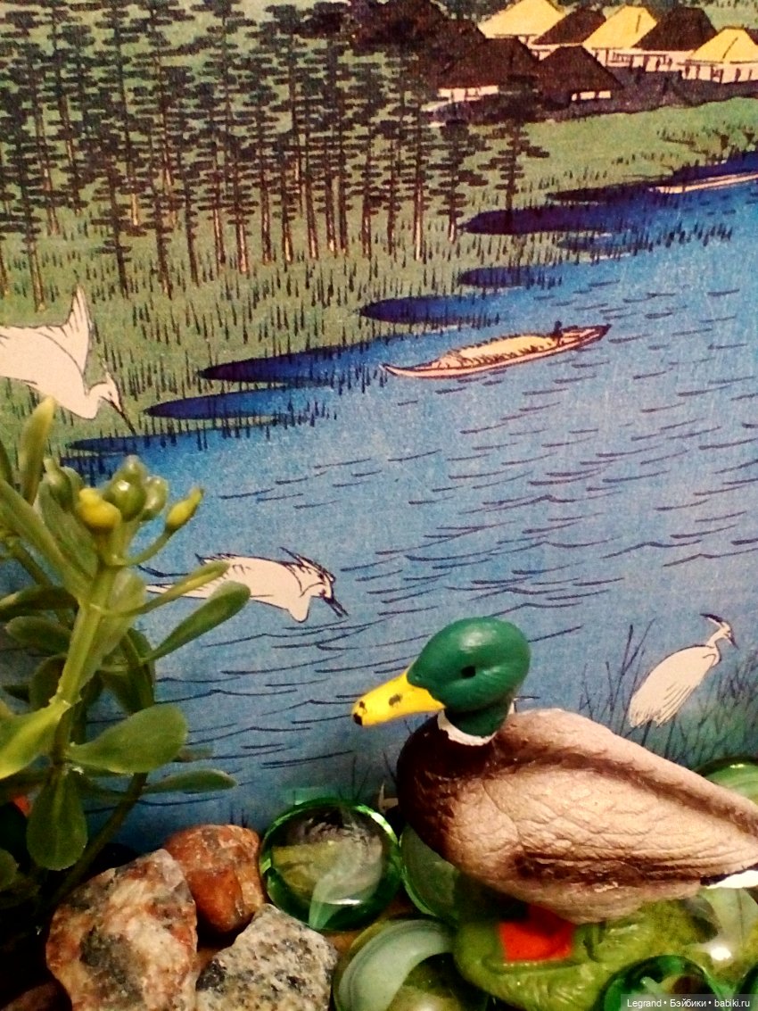 Лурения: селезень и другие питомцы на прогулке