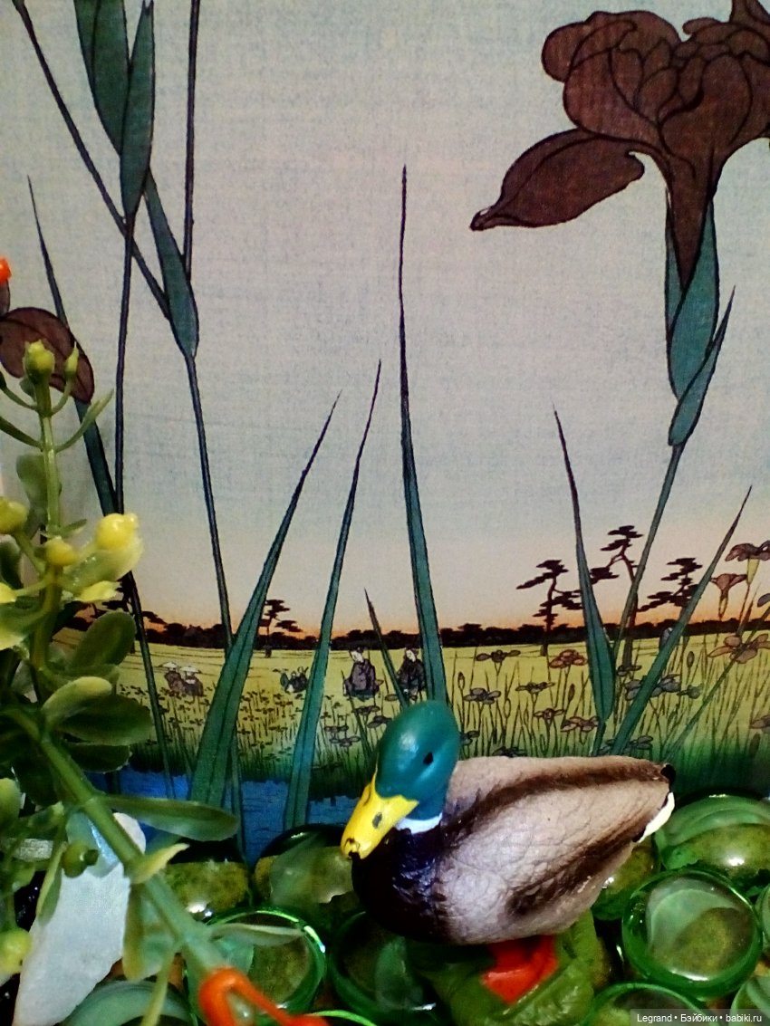 Лурения: селезень и другие питомцы на прогулке