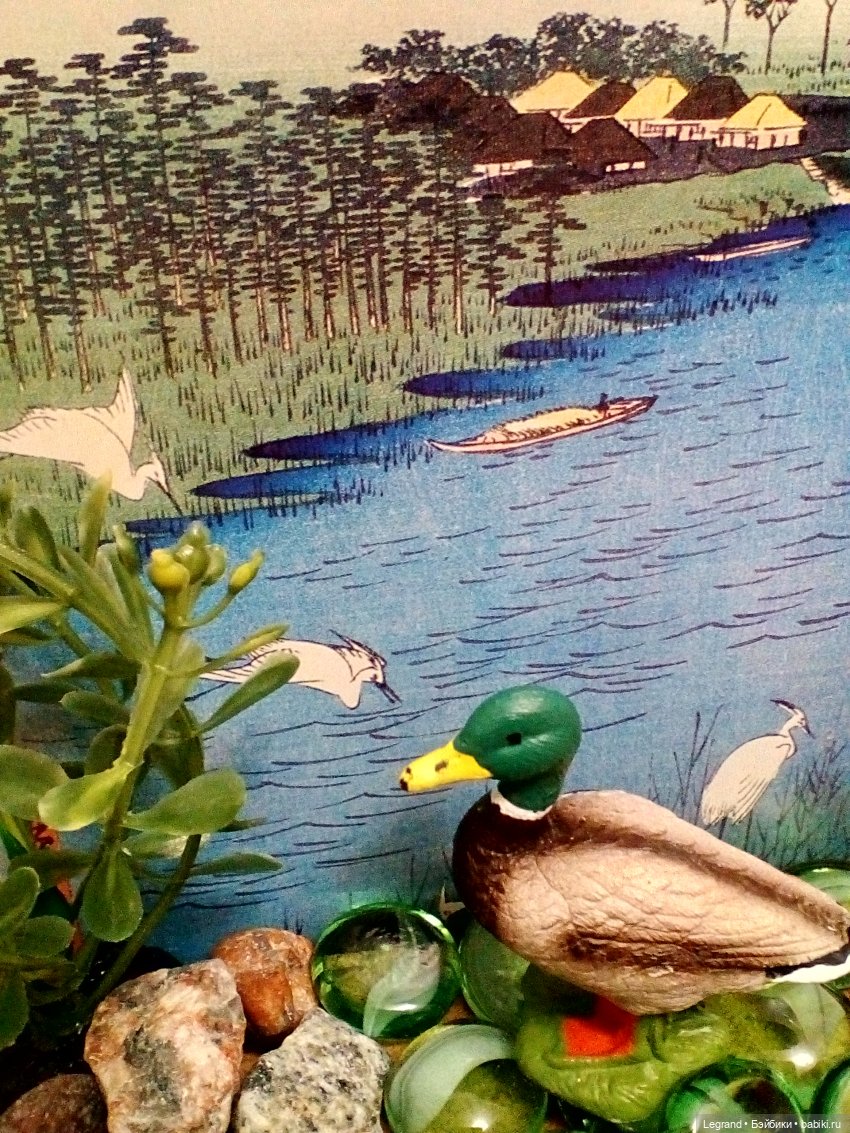 Лурения: селезень и другие питомцы на прогулке