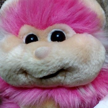 Хомяк и жаба