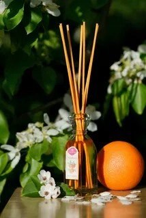 Новые достижения Хомочки | Бэйбики Новые достижения Хомочки — Плюшевые мишки и игрушки (Teddy Bear): винтаж