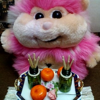 Новые достижения Хомочки