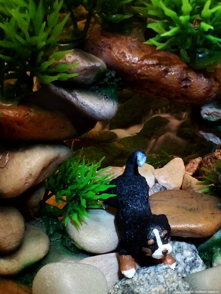 Лурения: из жизни самых маленьких - Джансу и Джесур