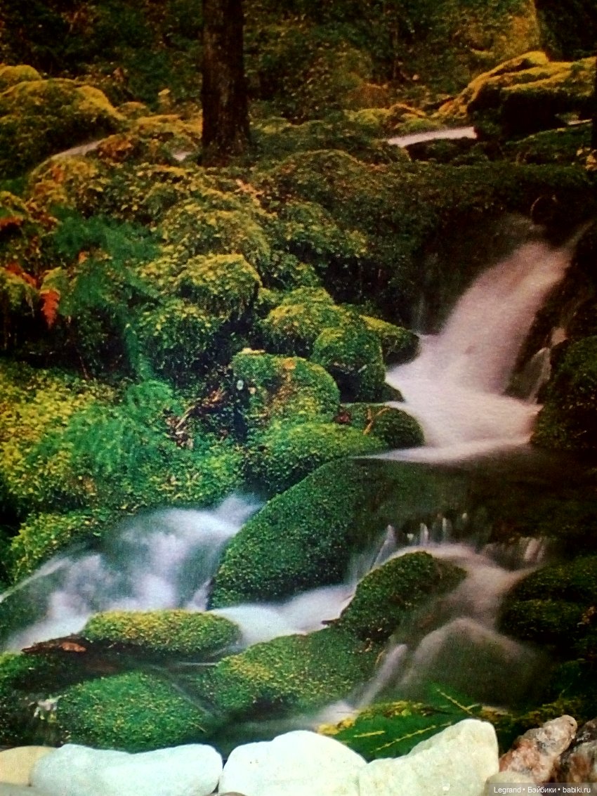 Лурения: из жизни самых маленьких - Джансу и Джесур