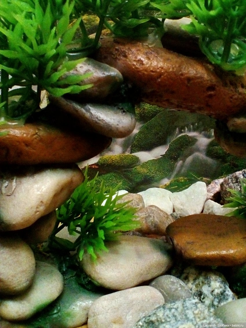 Лурения: из жизни самых маленьких - Джансу и Джесур