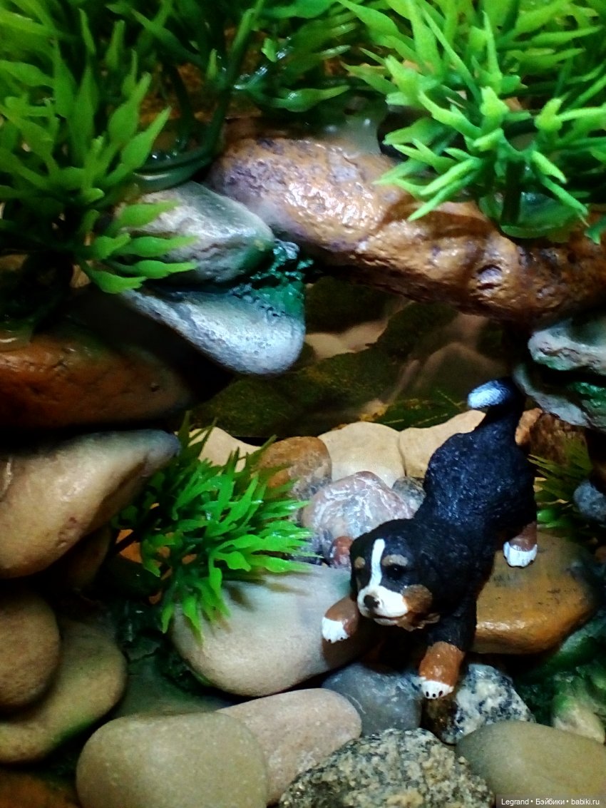 Лурения: из жизни самых маленьких - Джансу и Джесур