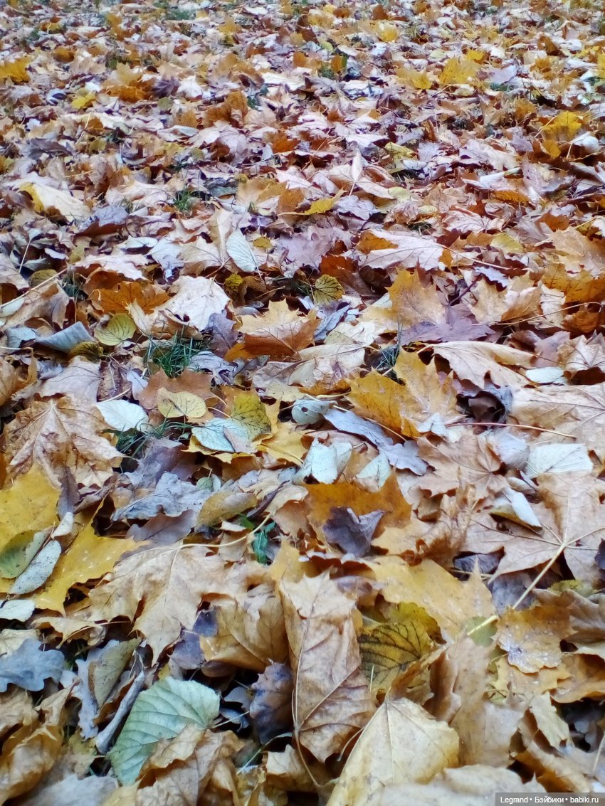 Они сами пишут свои истории: Эйтан