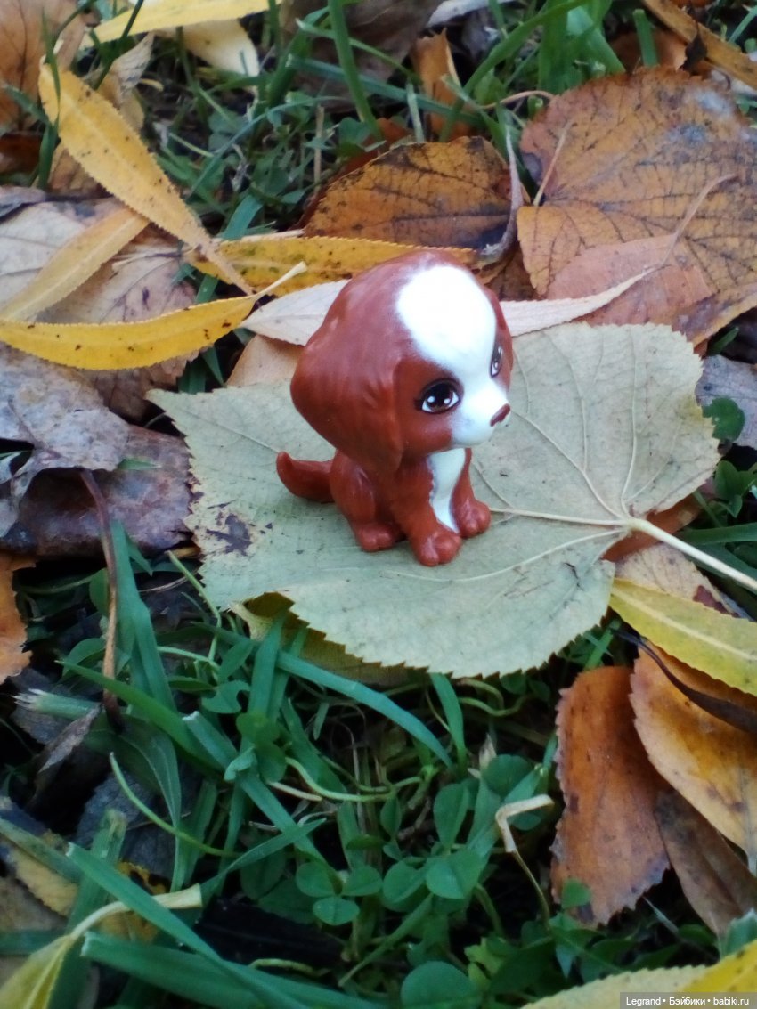 Они сами пишут свои истории: Эйтан