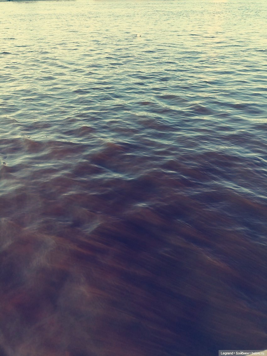 Они сами пишут свои истории: Эйтан