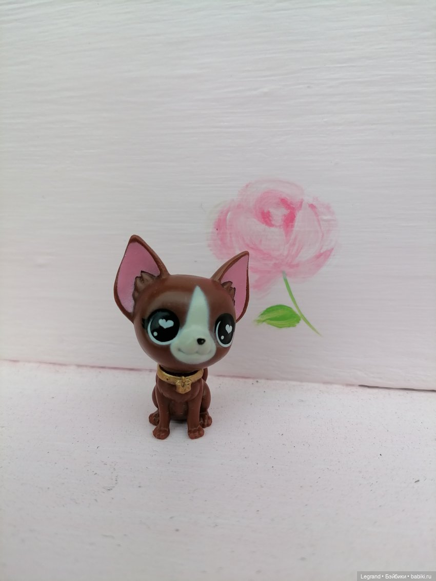 Петербург. Прогулка к Неве с Мокко