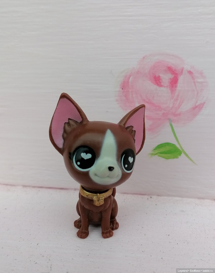 Петербург. Прогулка к Неве с Мокко (фото 3)