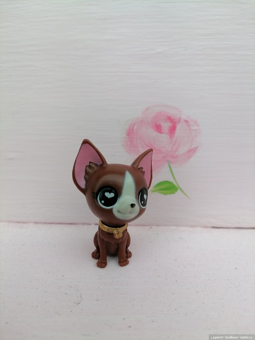 Петербург. Прогулка к Неве с Мокко