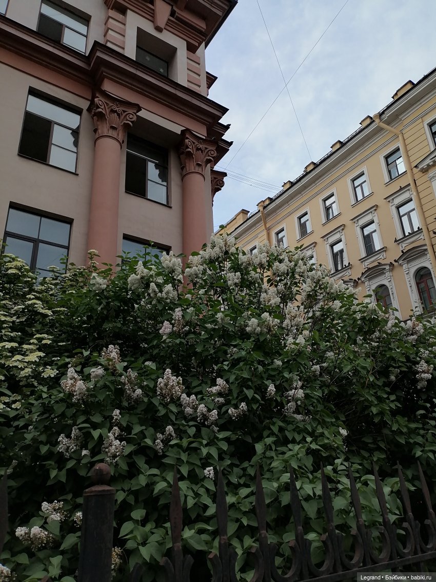 Петербург. Прогулка к Неве с Мокко