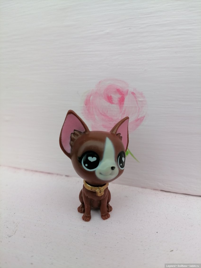 Петербург. Прогулка к Неве с Мокко