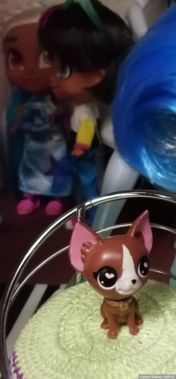 Петербург. Прогулка к Неве с Мокко