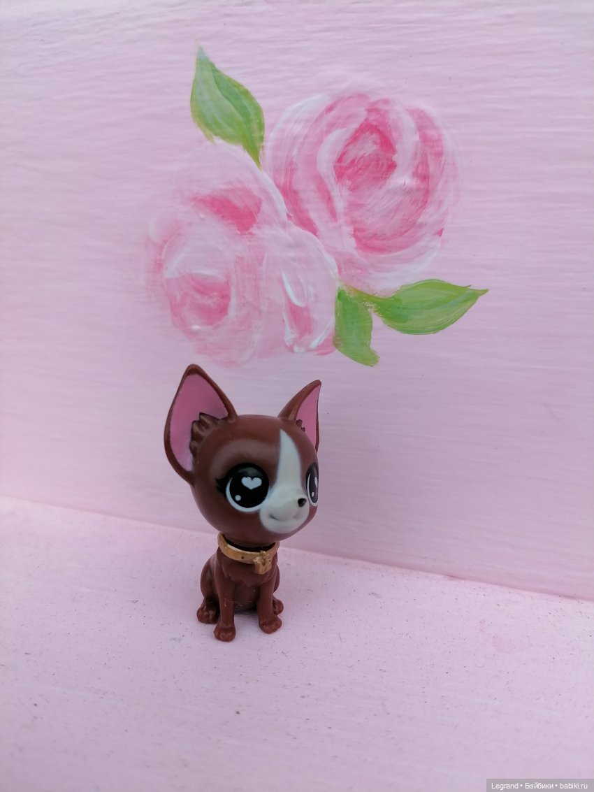 Петербург. Прогулка к Неве с Мокко