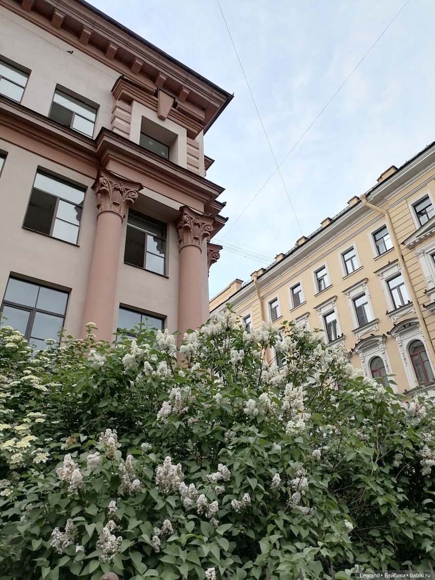 Петербург. Прогулка к Неве с Мокко