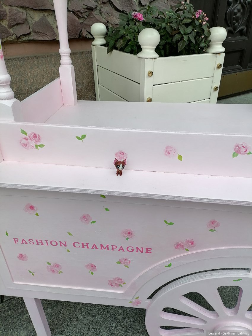 Петербург. Прогулка к Неве с Мокко