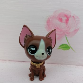 Петербург. Прогулка к Неве с Мокко