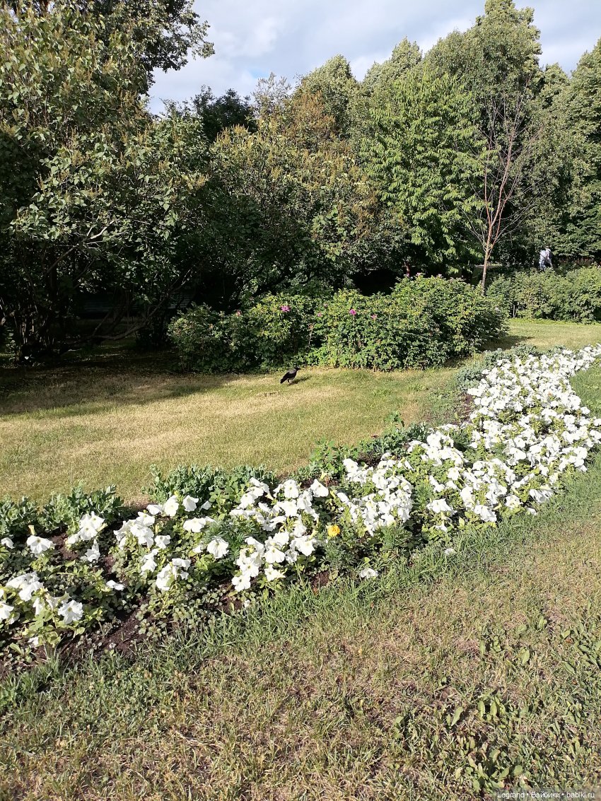 Петербург. Таврический сад, Парадный квартал (фото 4)