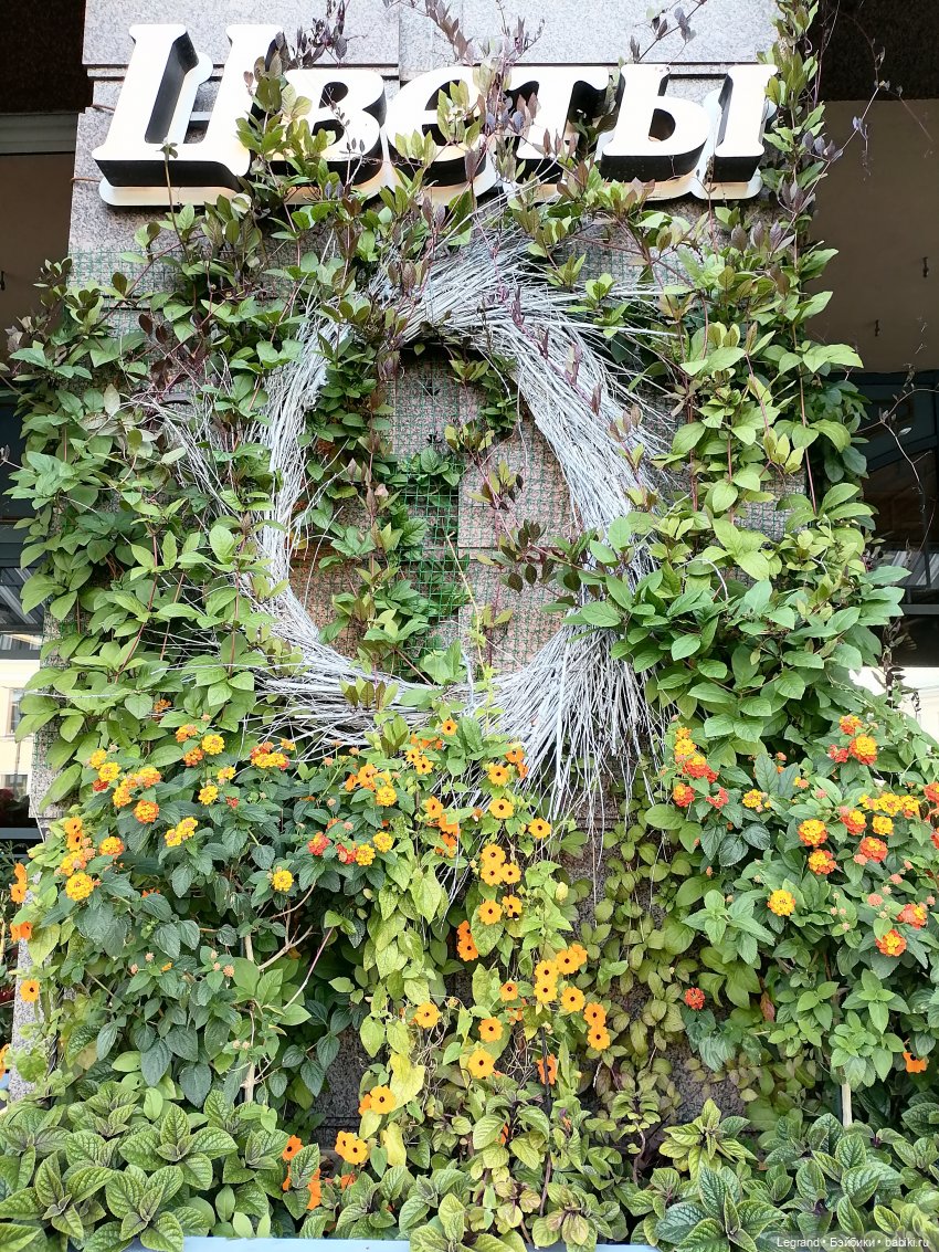 Петербург. Таврический сад, Парадный квартал