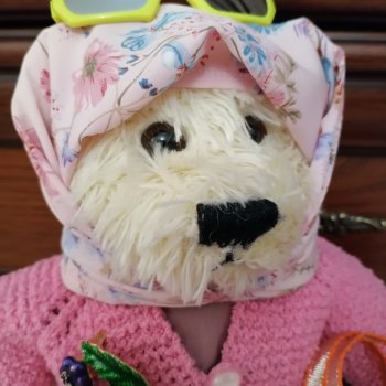 Пембе в новом образе