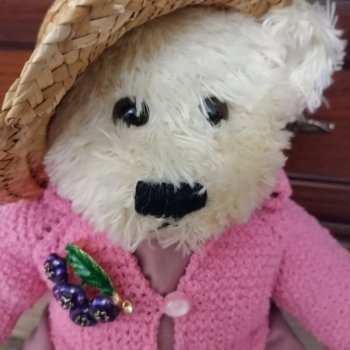 Брошка для Пембе