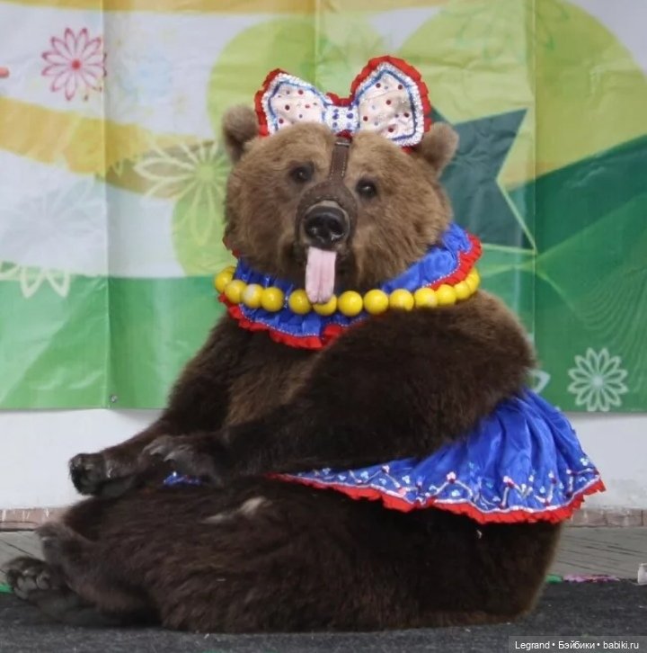 Пембе и Гри: о высоком и возвышенном