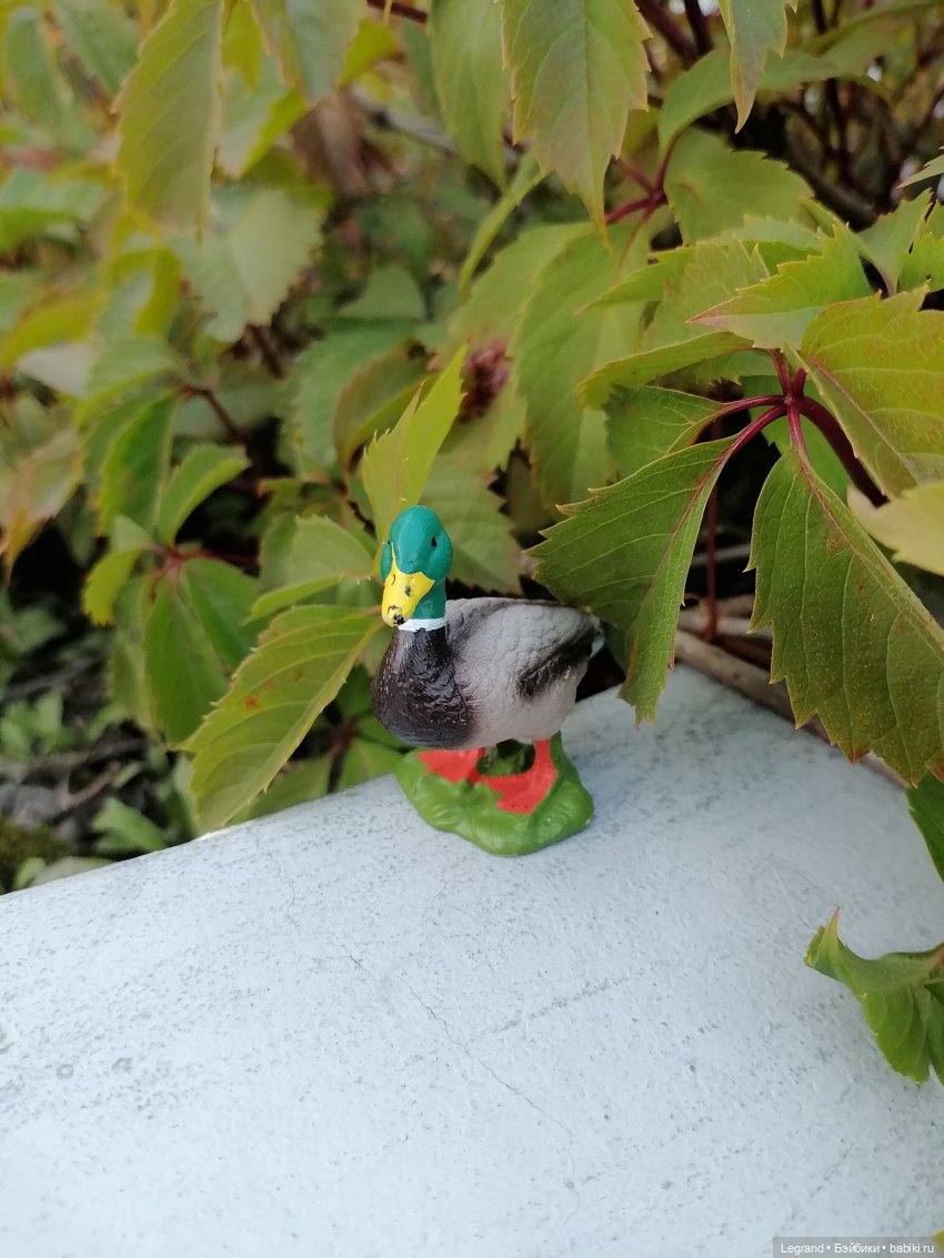 Селезень на прогулке — Интересные игрушки и фигурки (разное): редкие (фото 3)