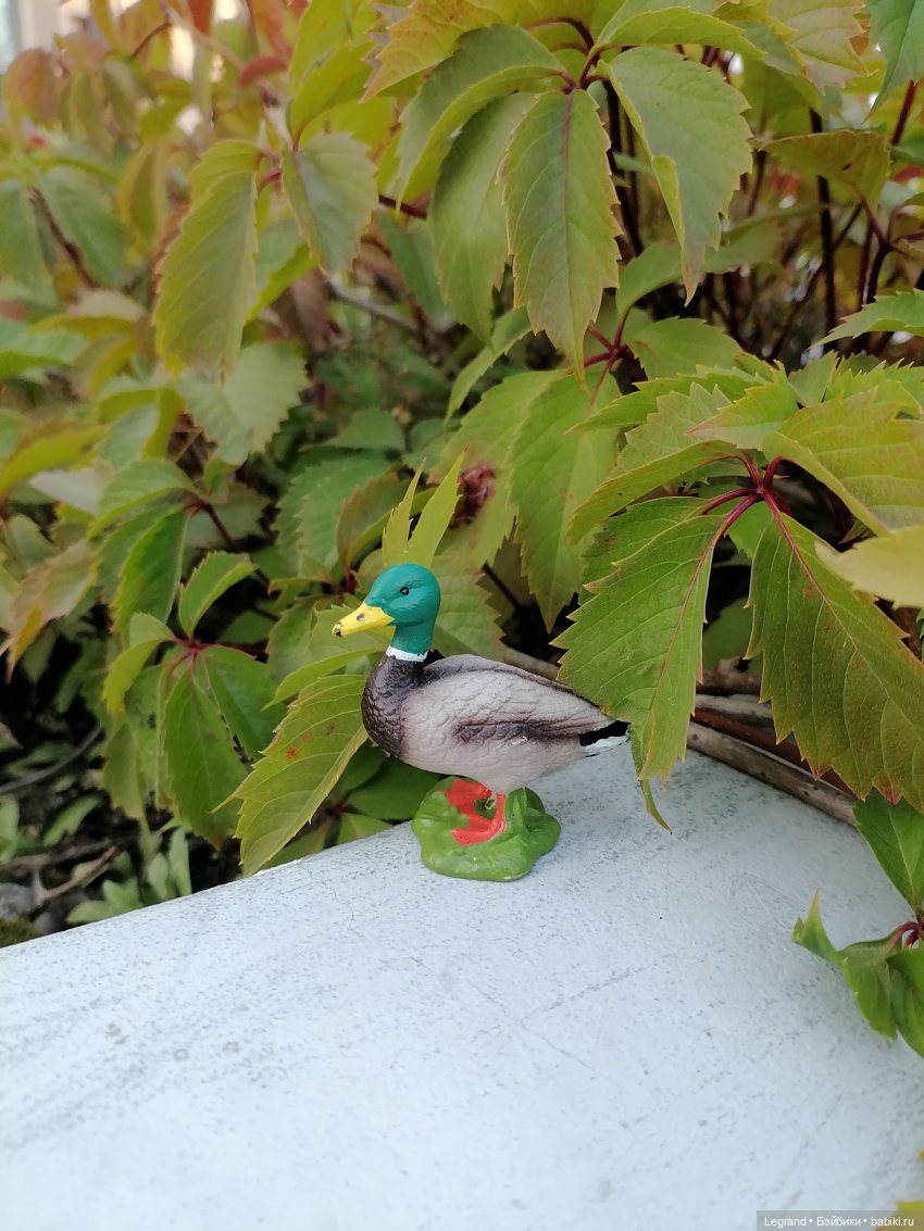 Селезень на прогулке — Интересные игрушки и фигурки (разное): редкие (фото 4)