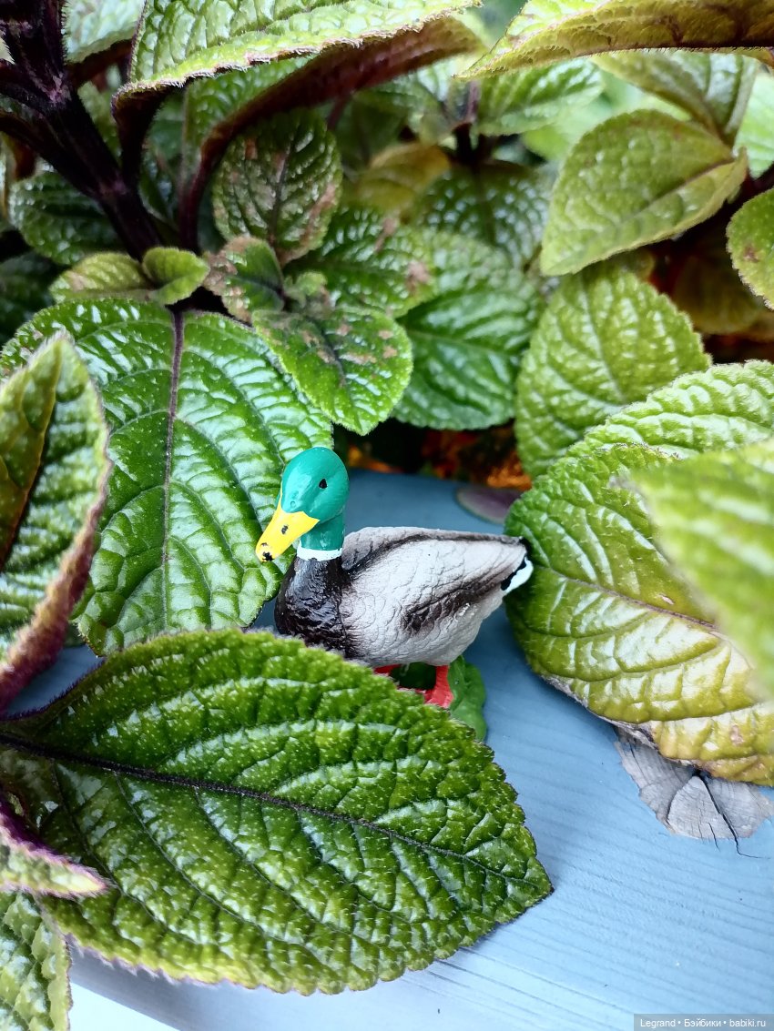 Селезень на прогулке — Интересные игрушки и фигурки (разное): редкие