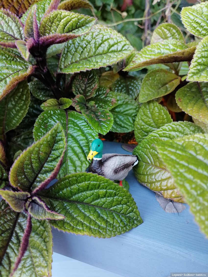 Селезень на прогулке — Интересные игрушки и фигурки (разное): редкие