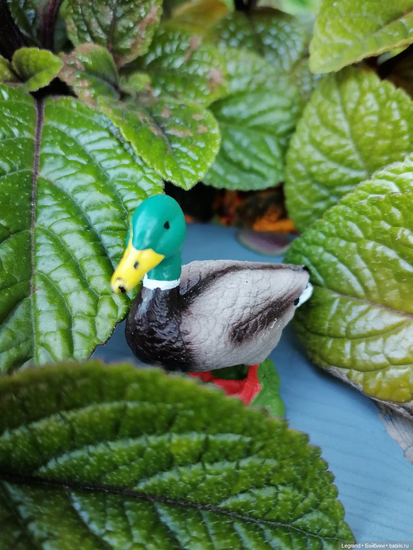 Селезень на прогулке — Интересные игрушки и фигурки (разное): редкие