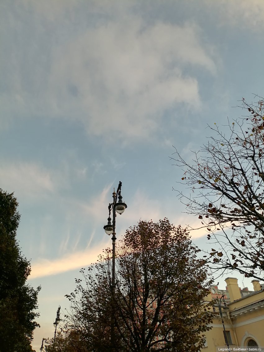 Санкт-Петербург. Розы. Часть вторая