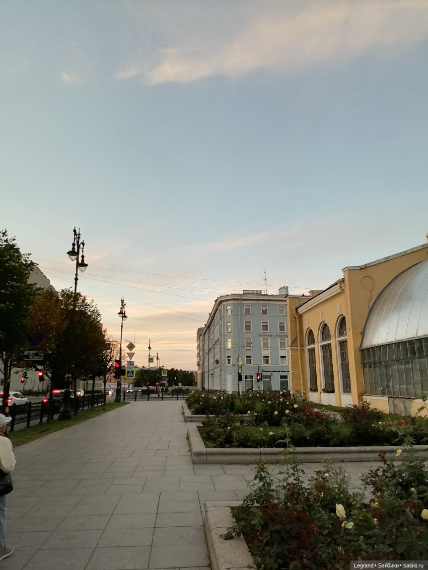 Санкт-Петербург. Розы. Часть вторая