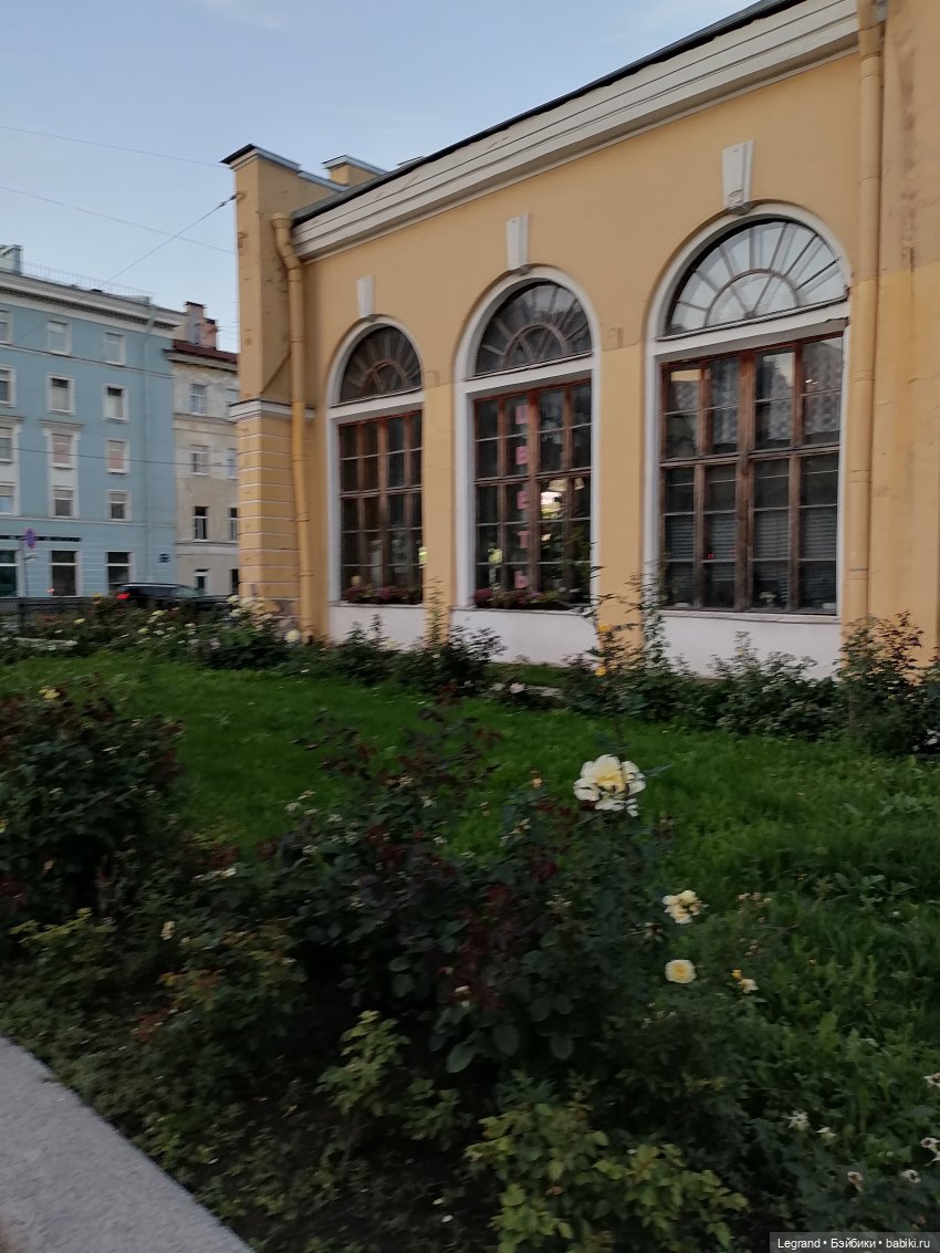 Санкт-Петербург. Розы. Часть вторая
