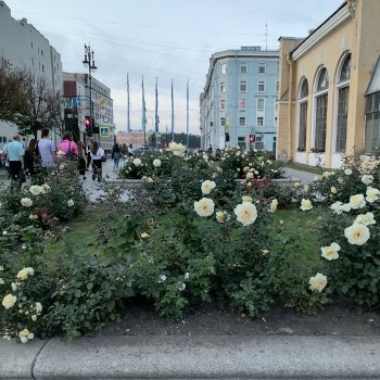 Санкт-Петербург. Вечерняя прогулка. Часть первая