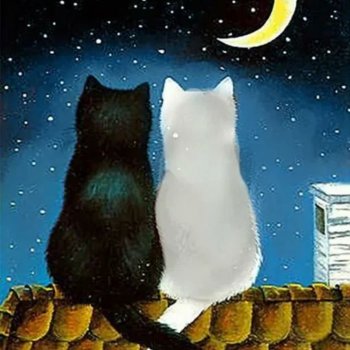 А ты придёшь, когда настанет ночь... Стихи Блонди