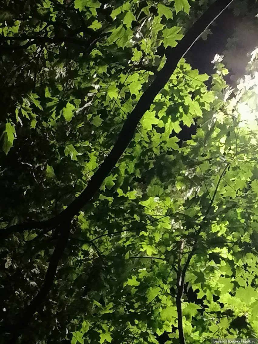 Они сами пишут свои истории: Жак-Анж и Айше