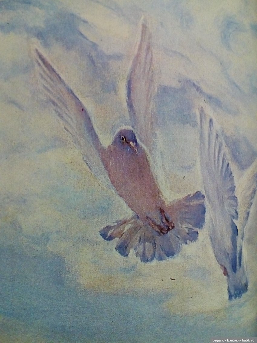 Они сами пишут свои истории: Жак-Анж и Айше