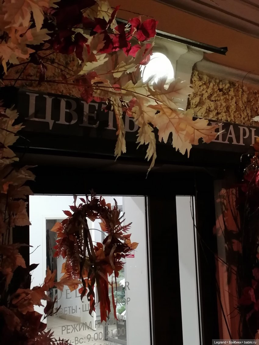 Санкт-Петербург: октябрь, вечер - продолжение