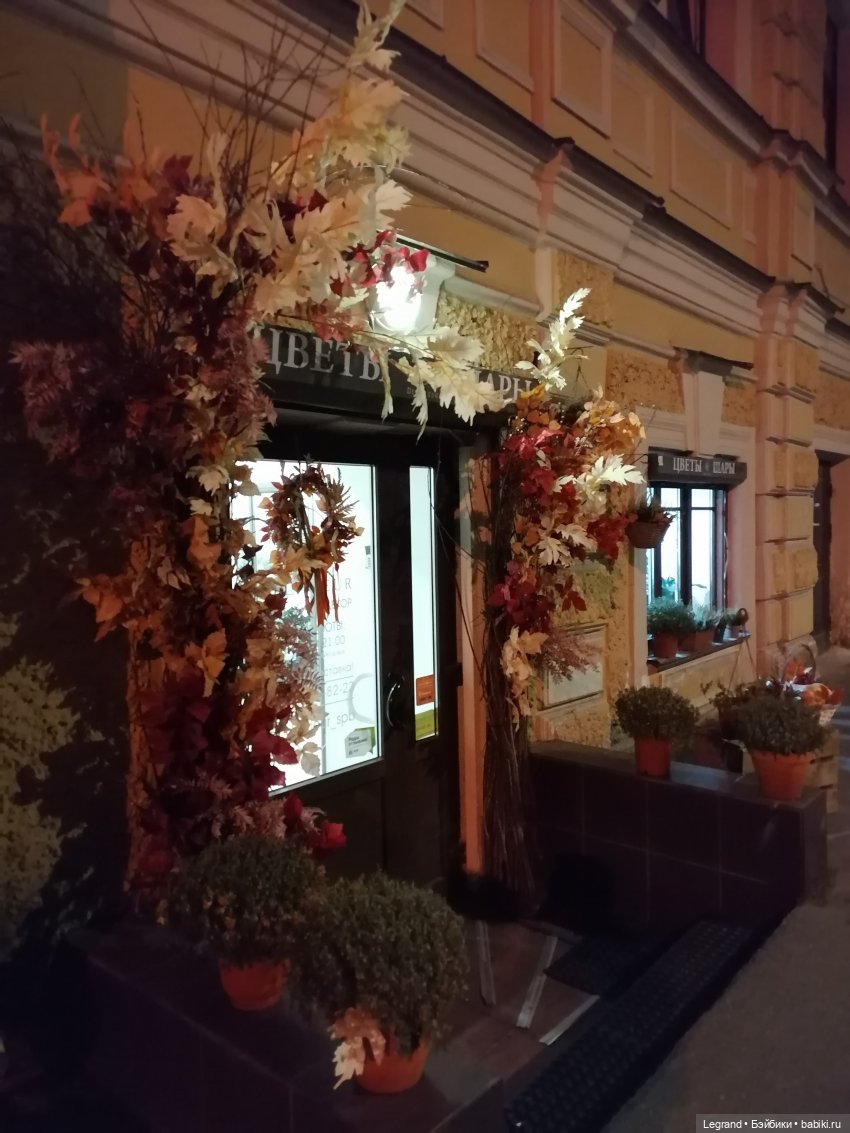 Санкт-Петербург: октябрь, вечер - продолжение