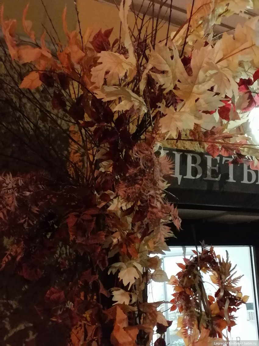 Санкт-Петербург: октябрь, вечер - продолжение