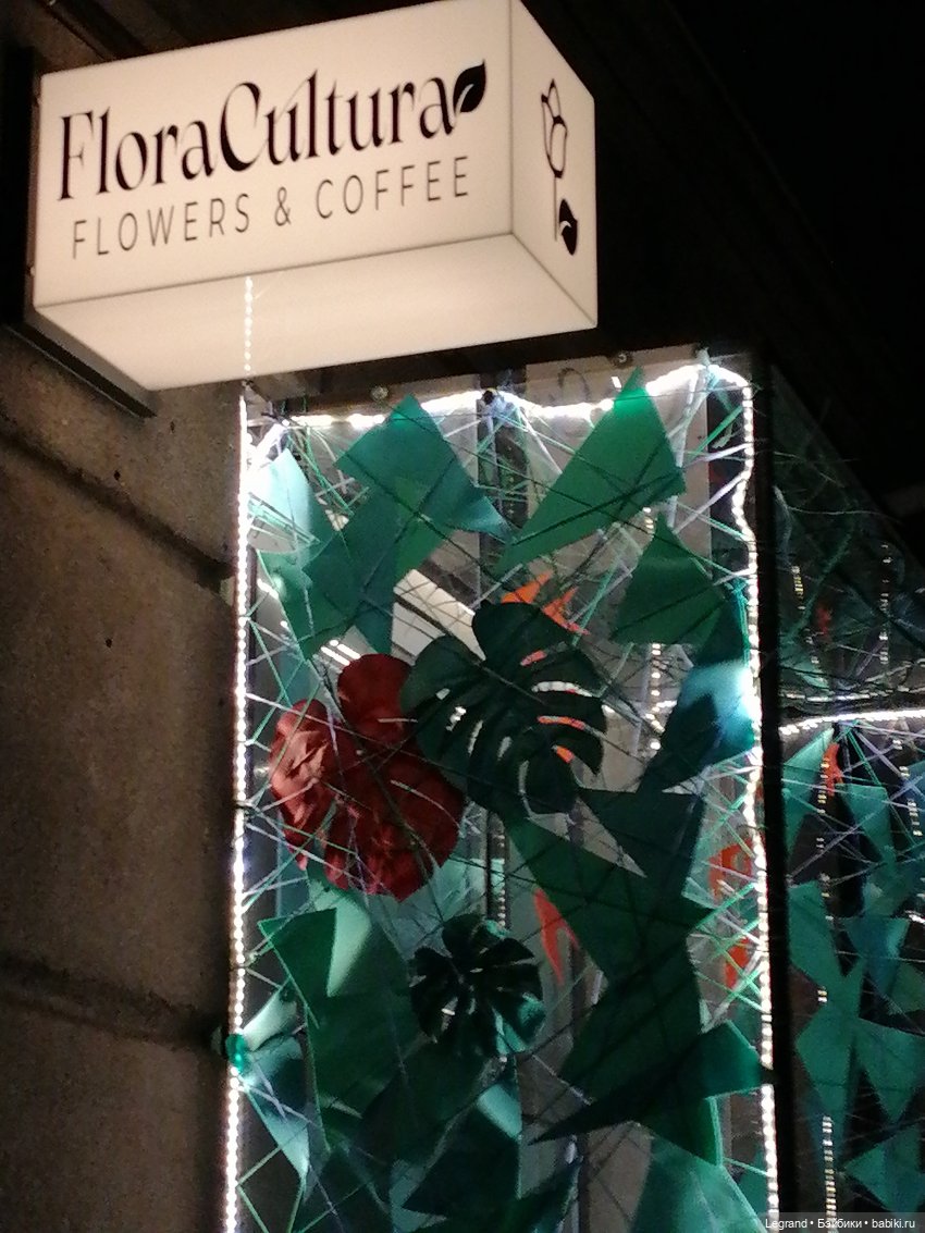 Санкт-Петербург: октябрь, вечер - продолжение (фото 3)