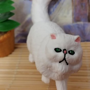 Лурения: явление Кошки