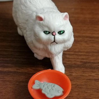 Лурения: кошки на вилле