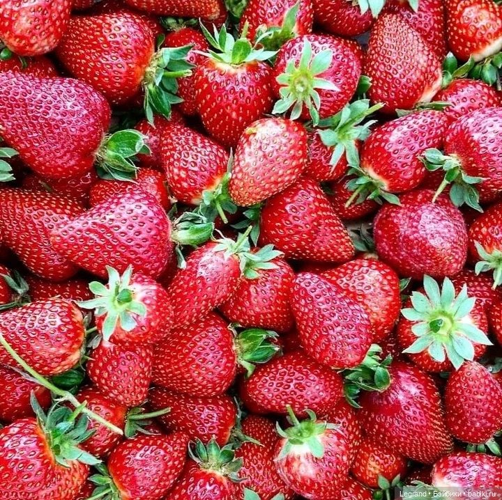 Сказка про Клубничную Мышь