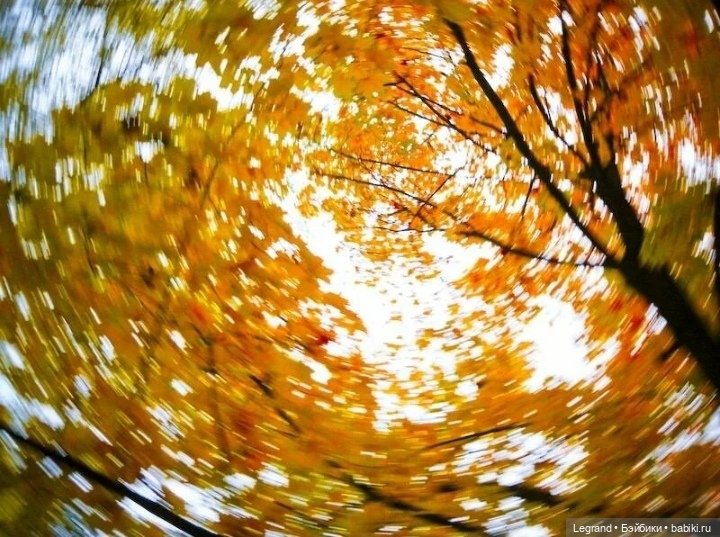 Сказка про Клубничную Мышь