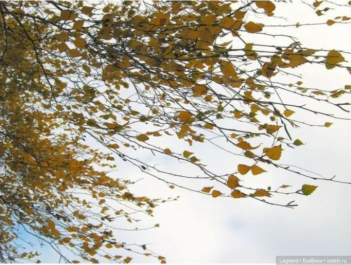 Сказка про Клубничную Мышь