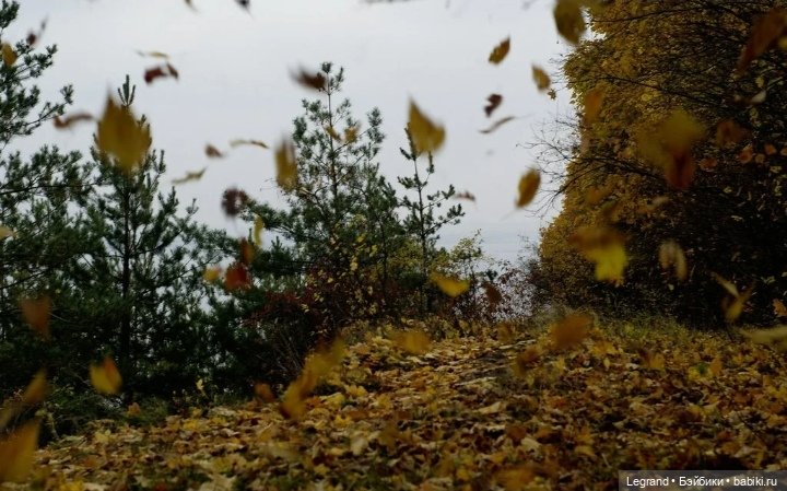 Сказка про Клубничную Мышь